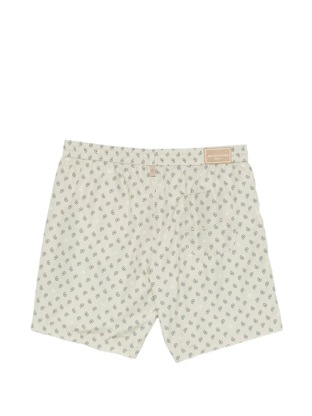 paisley swim shorts