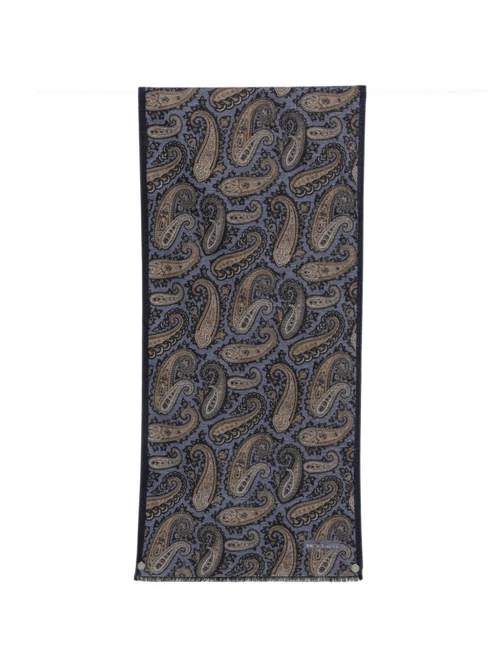 paisley-print fringed-edge scarf
