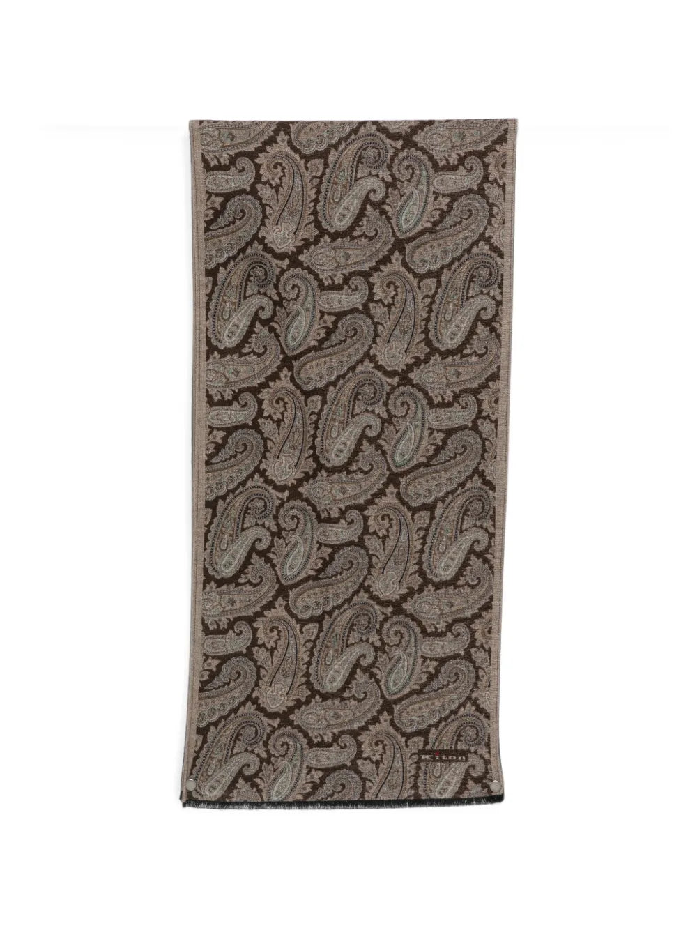 paisley-print fringed scarf